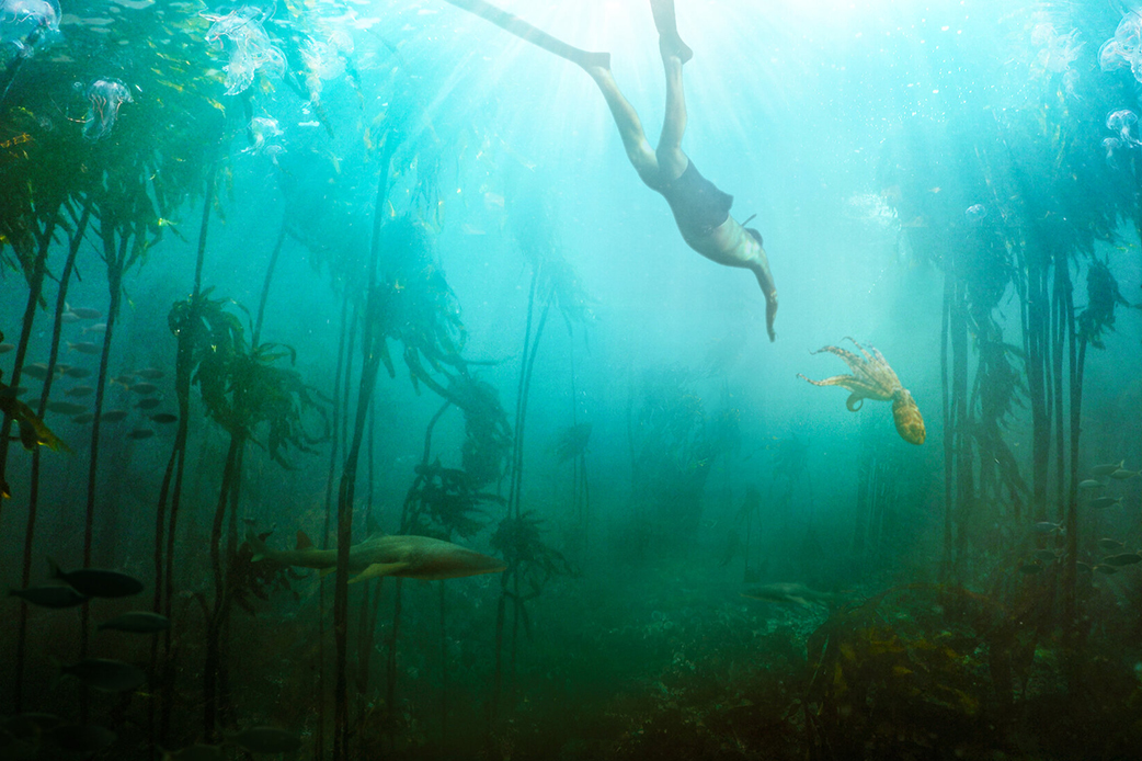 Artikel beeld slider