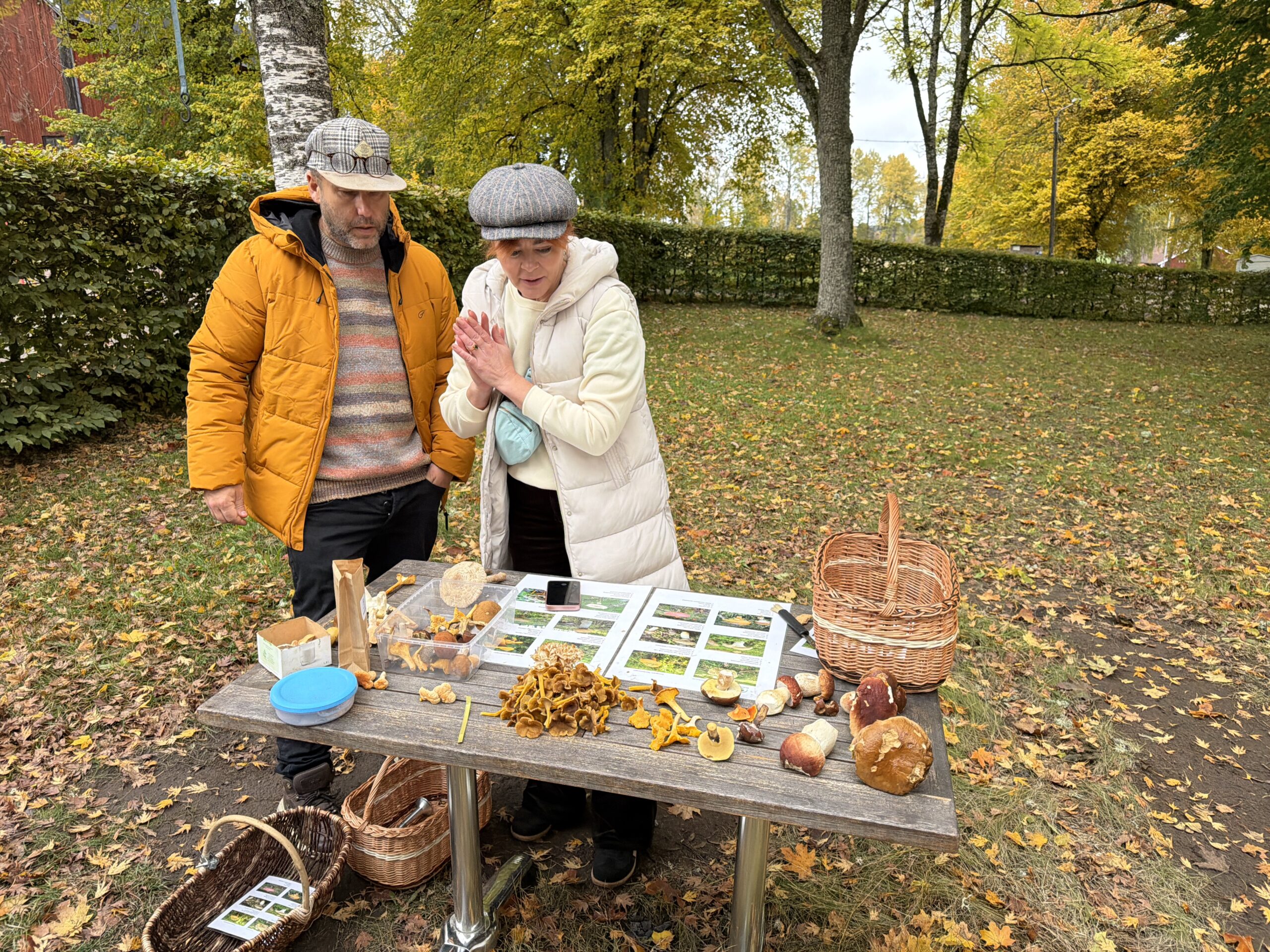 De gevonden paddenstoelen worden op tafel gelegd en herkend