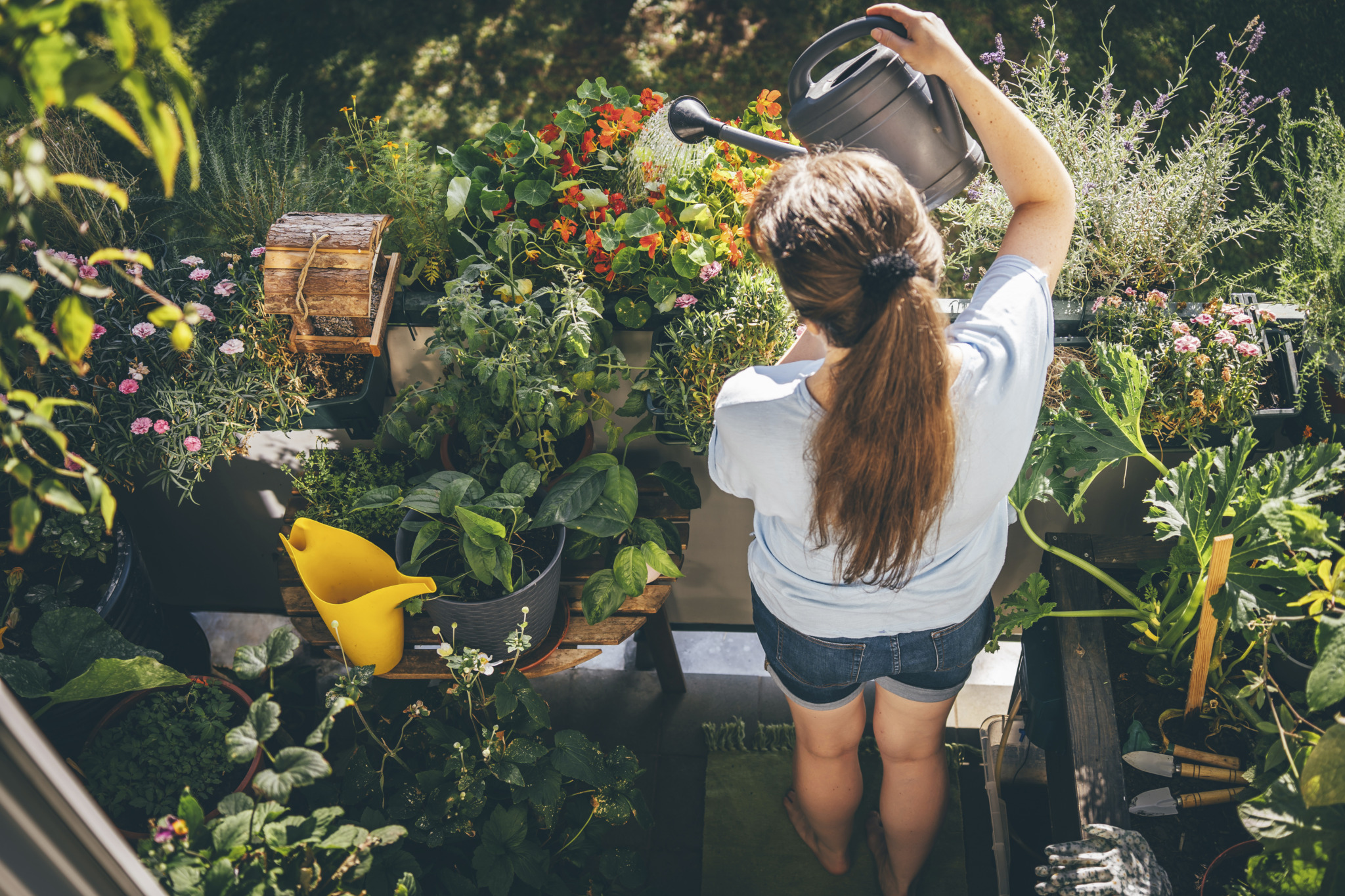Woman watering plants in balcony