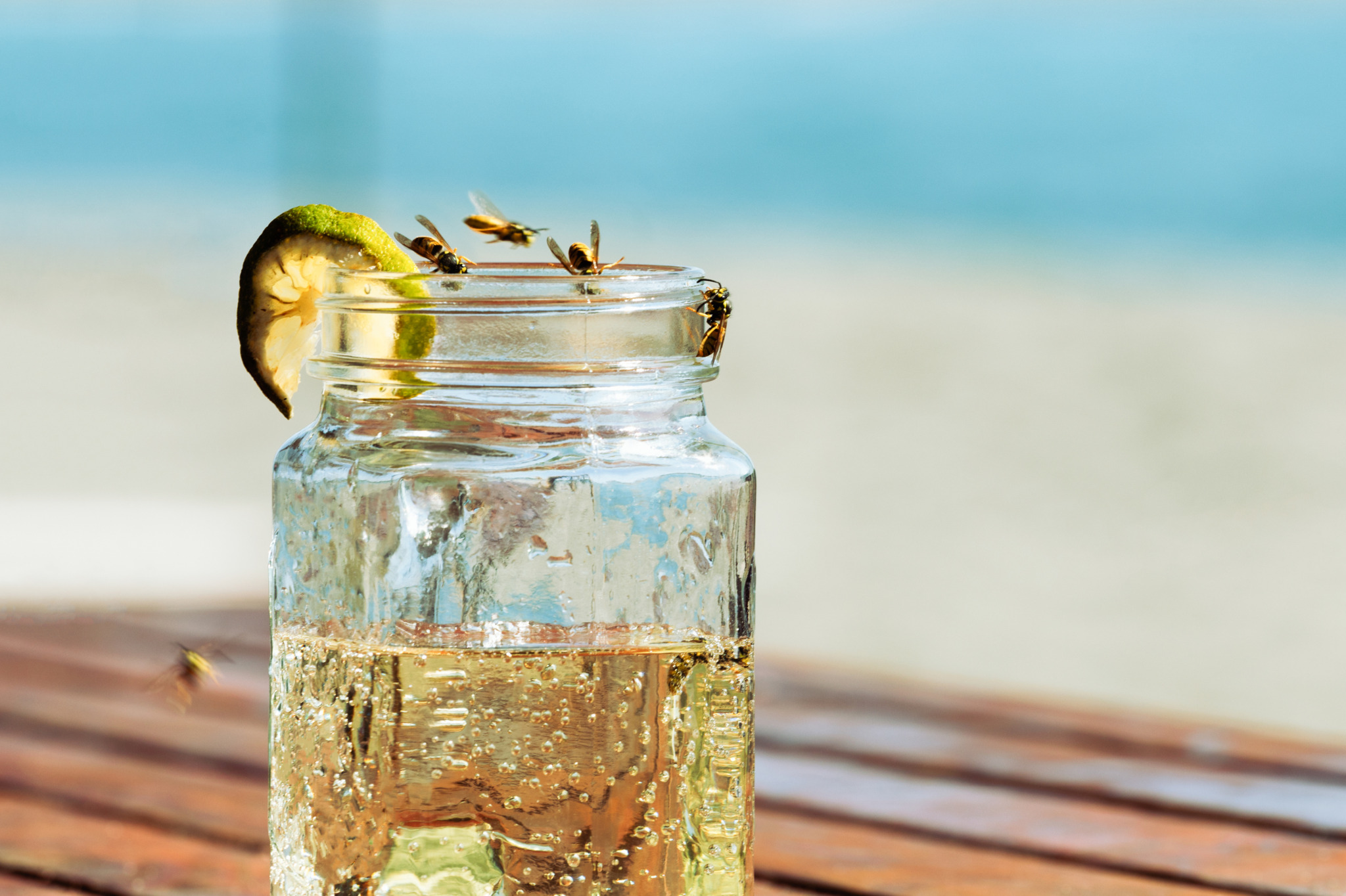 wespen op terras truc